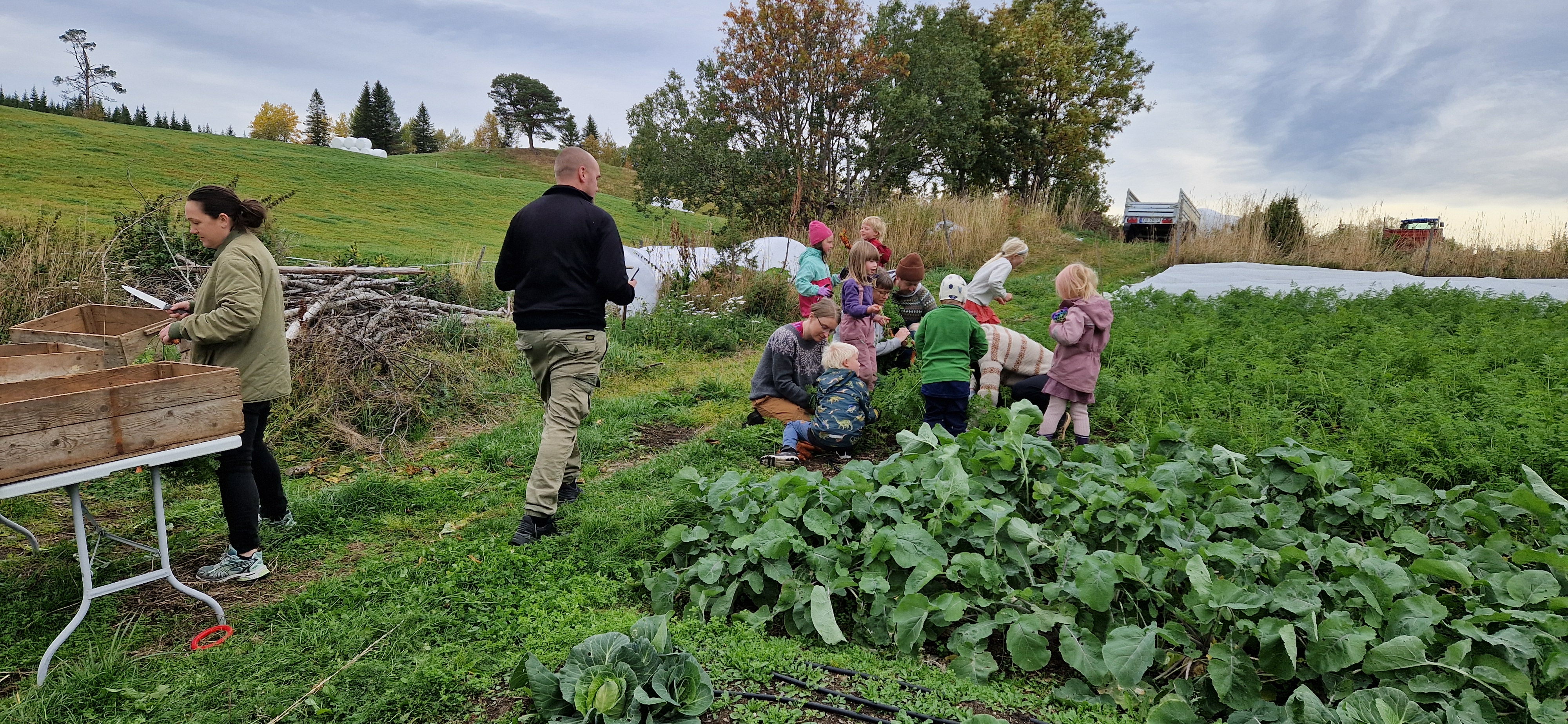 Barn og voksne på gården