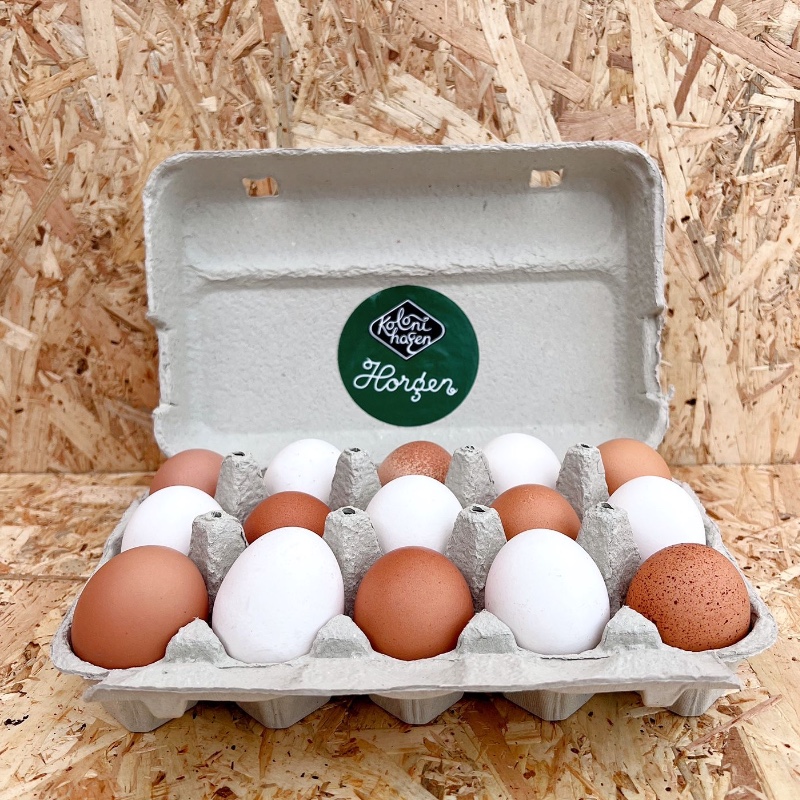 15 pk EGG, økologiske egg fra beitehøns