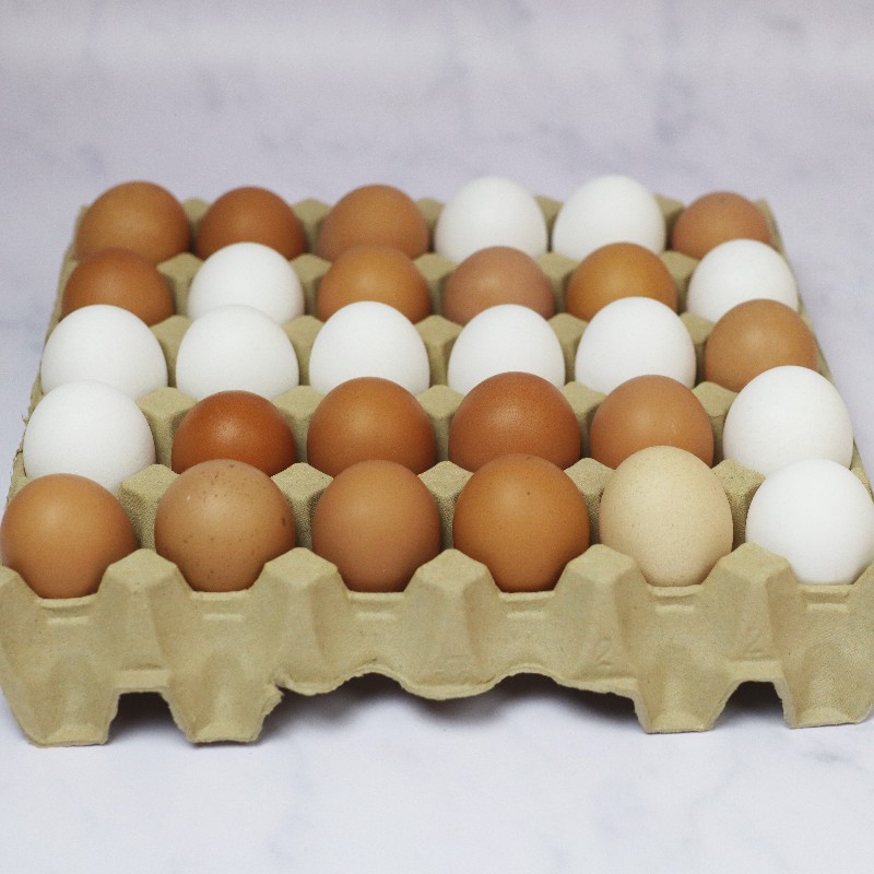 20stk EGG, økologiske egg fra beitehøns
