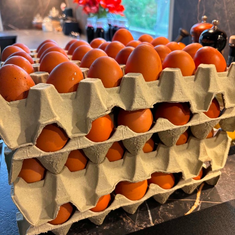 Brett med 30 egg
